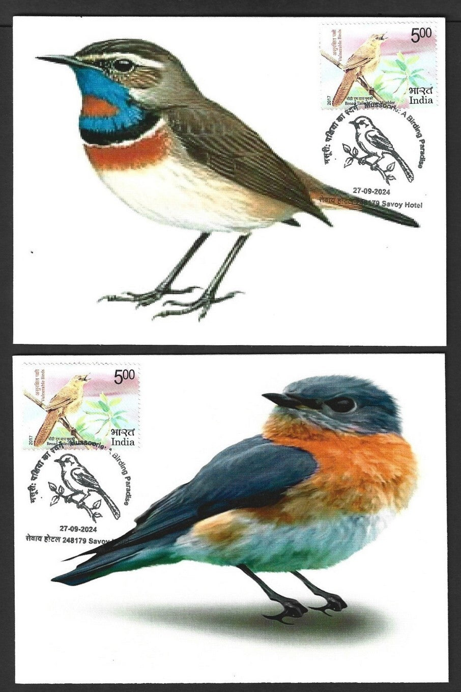India 2024 BIRDS maximum cards (not first day) (8)