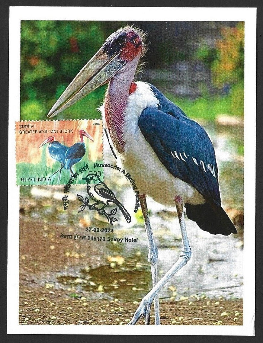 India 2024 BIRDS - STORK maximum card (not first day)
