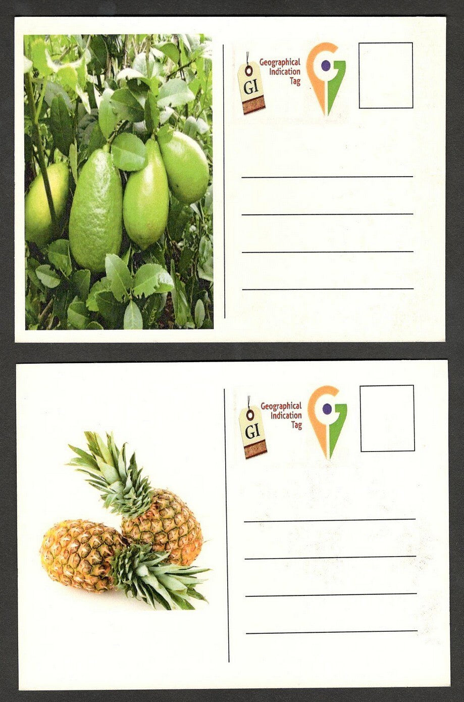(AOP) India 2023 Indian Fruits sets of 12 maxicards