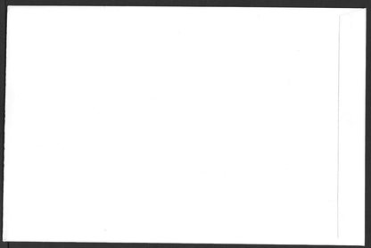India 2023 Saint Mira Bai private FDCs (3)