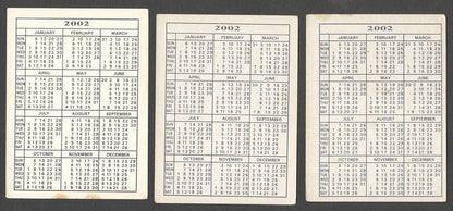 AOP India Bollywood pocket calendars & cards KARINA KAPOOR (13)