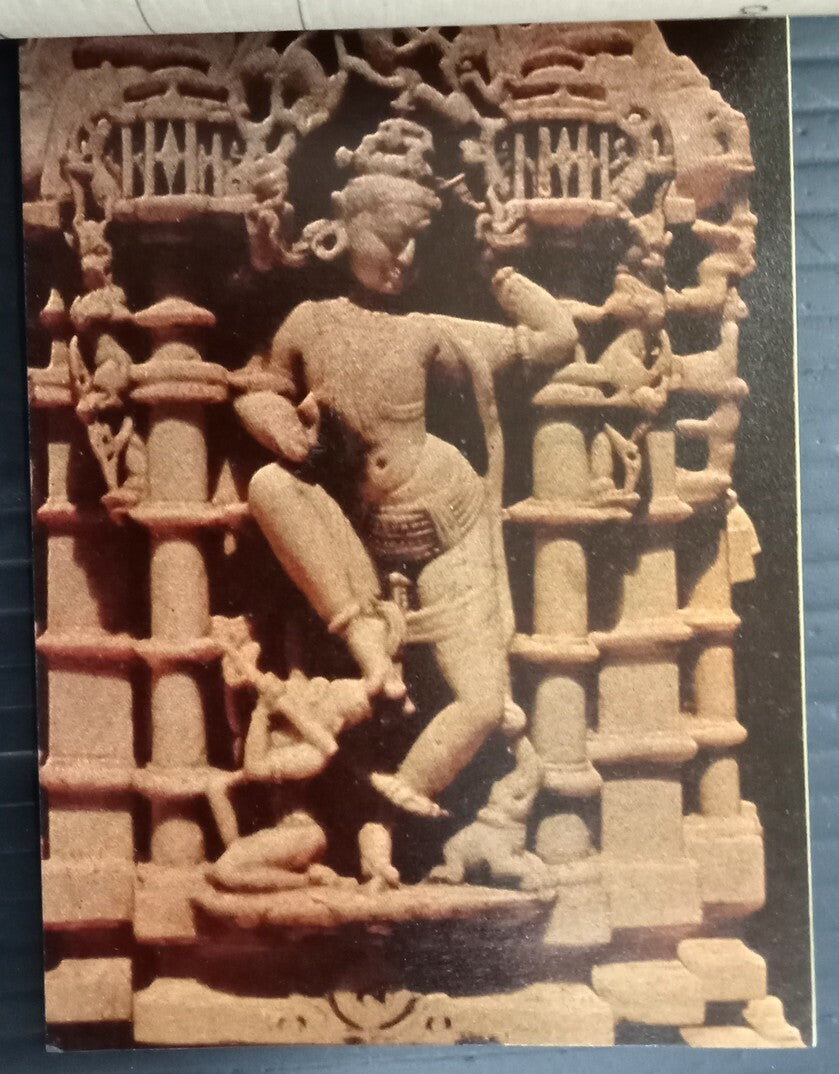 AOP India Dilwara booklet of 10 postcards