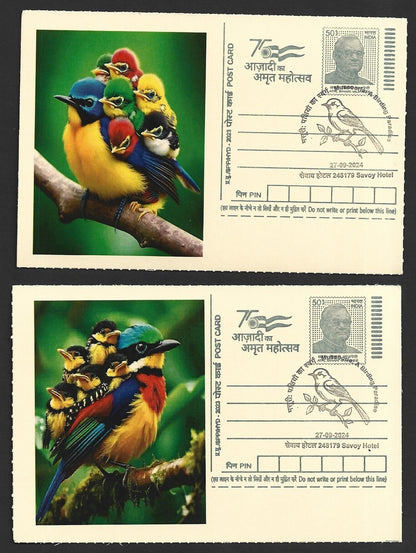 India 2024 Birding Paradise Savoy Hotel postmark cards FAMILIES OF BIRDS (10)