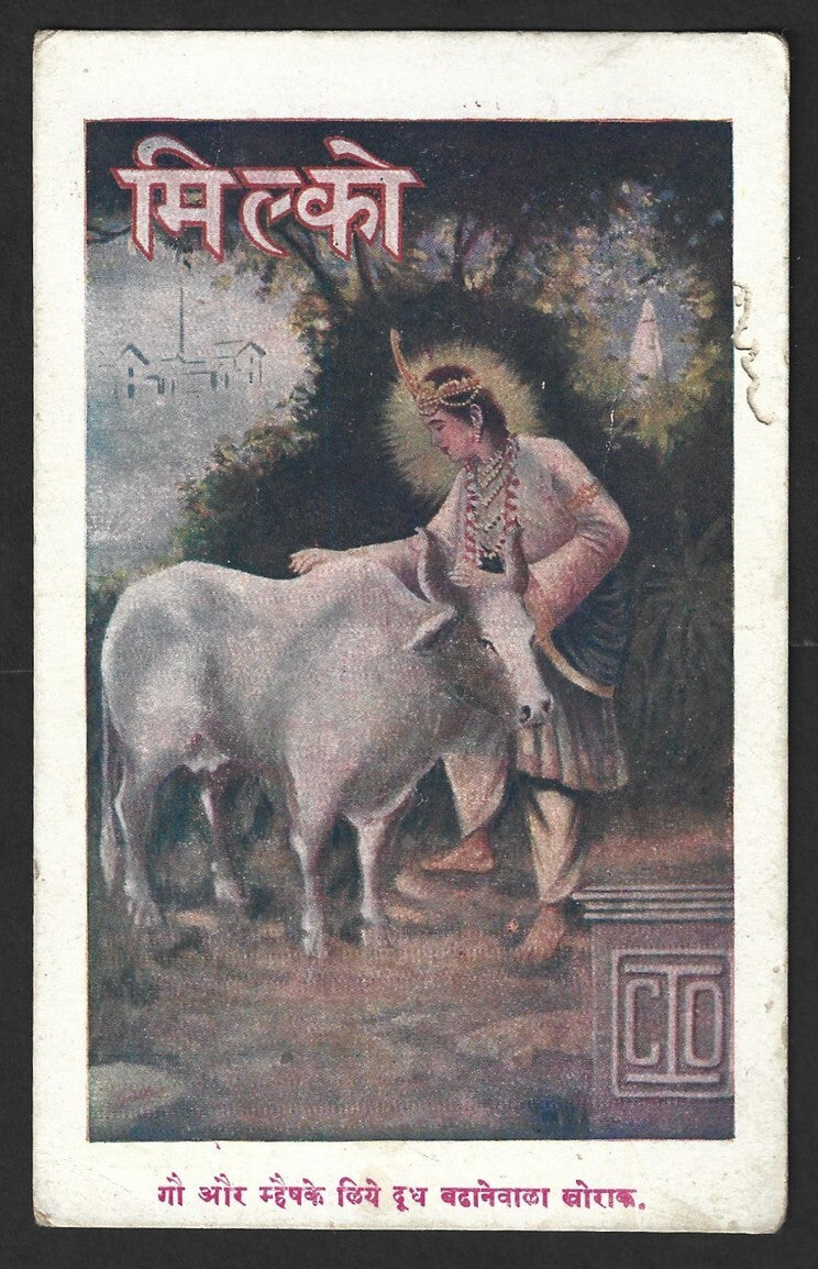 AOP India MILKO Cow Feed vintage advertisement postcard