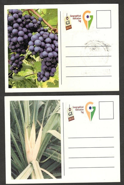 (AOP) India 2023 Indian Fruits sets of 12 maxicards