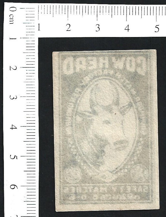India vintage 1940s-50s matchbox label COW HEAD