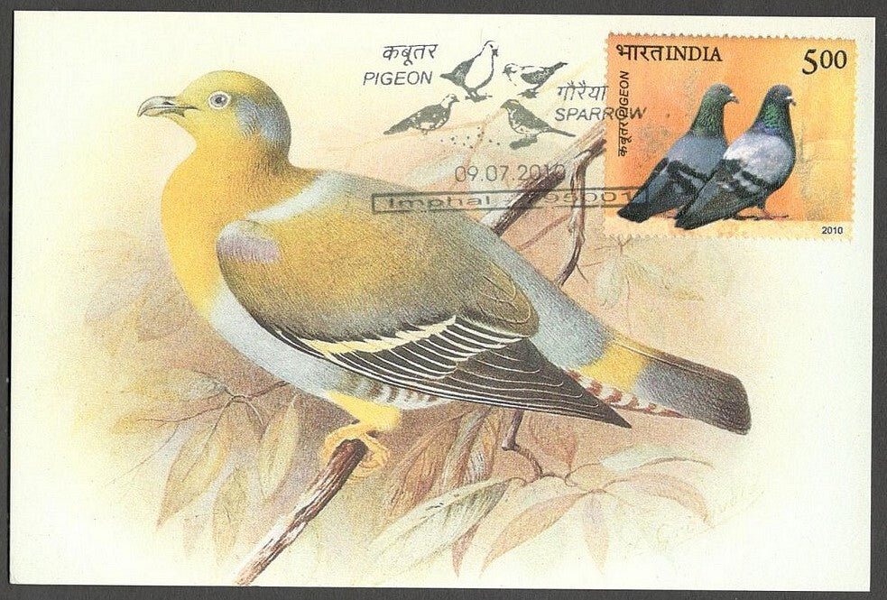 AOP India 2010 Pigeon maxi card