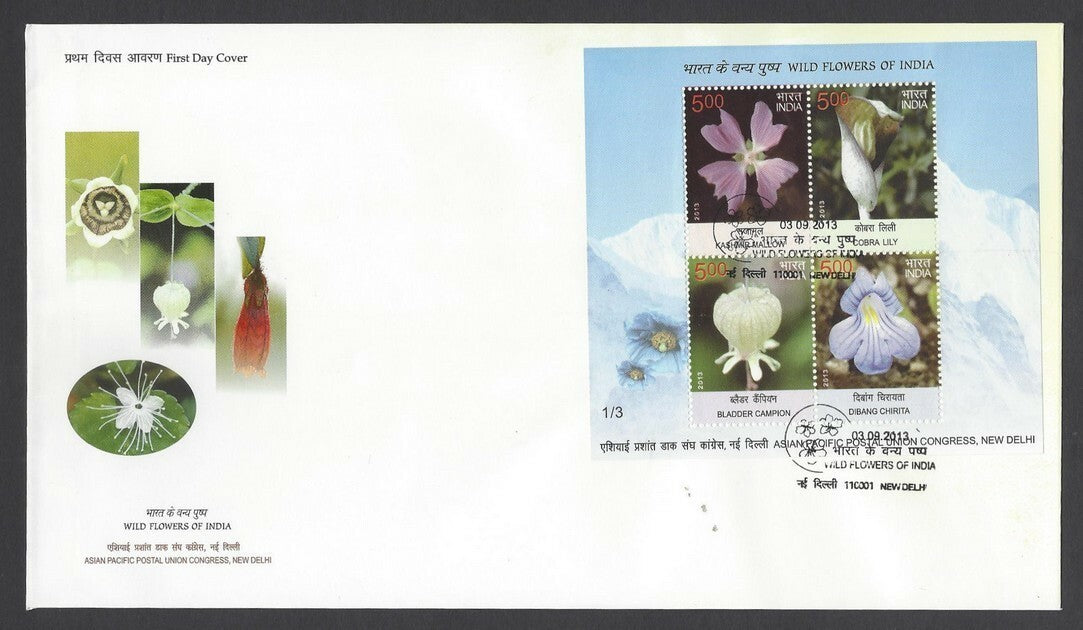 India 2013 Wild Flowers of India set of 3 miniature sheet MS on 3 FDCs