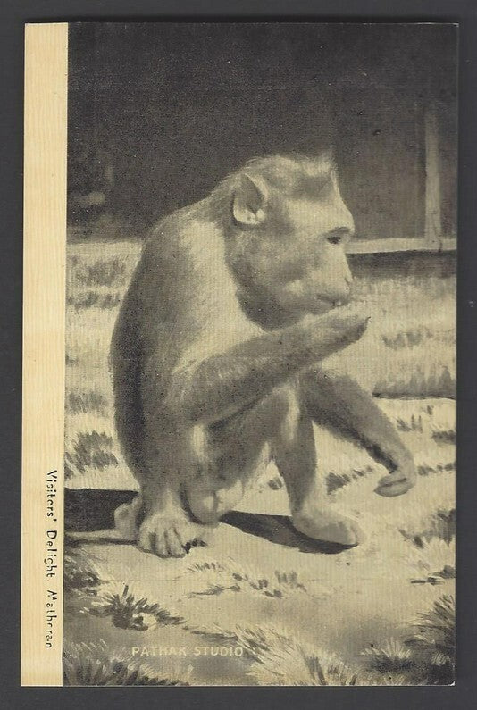 AOP India vintage postcard VISITOR'S DELIGHT (MONKEY), MATHERAN