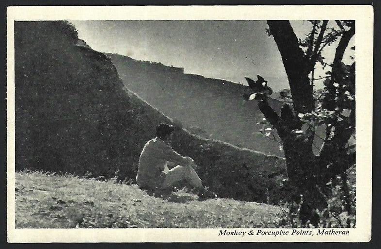 India MATHERAN vintage postcard Monkey & Porcupine Points