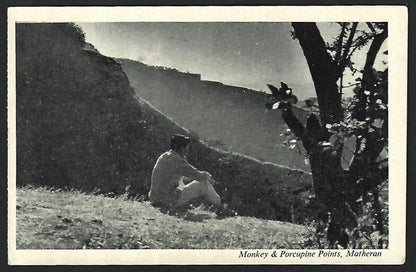 India MATHERAN vintage postcard Monkey & Porcupine Points