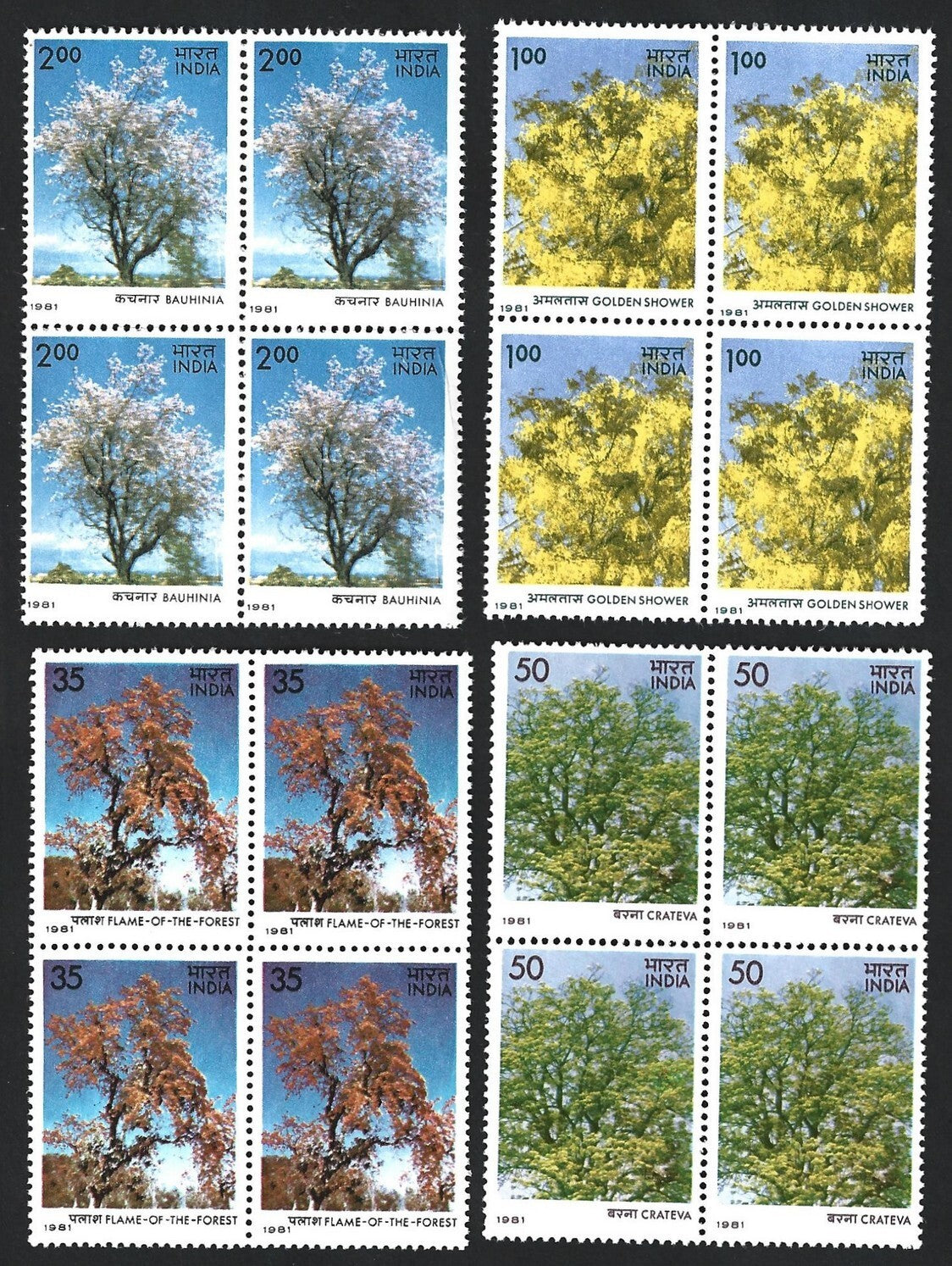 India 1981 Trees set of 4 MNH blocks of 4