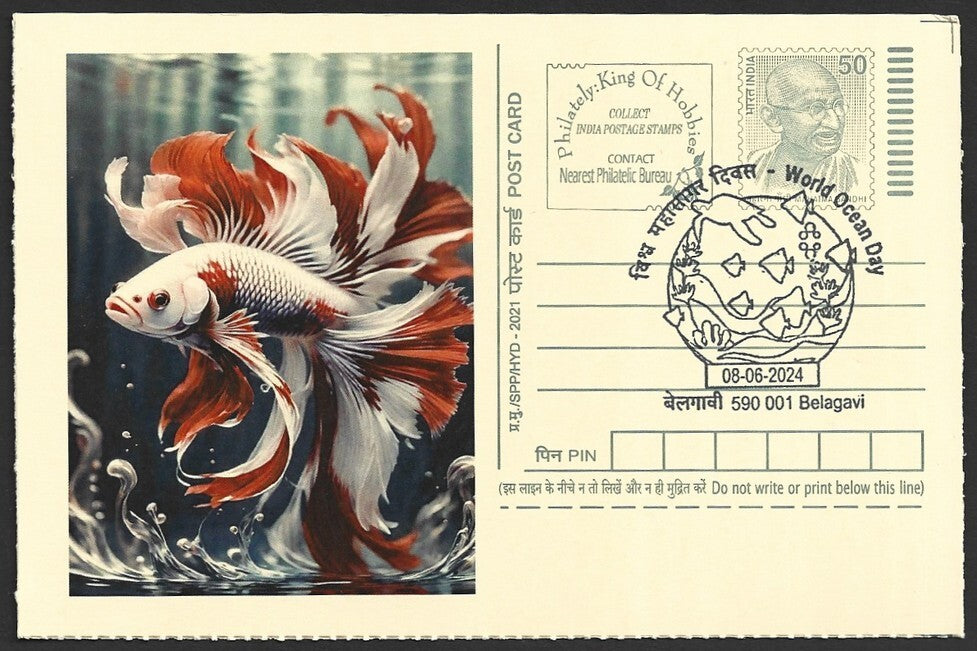 India 2024 World Ocean Day cards SIAMESE FIGHTER FISH (7)