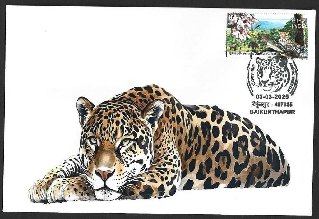 India ASIATIC CHEETAH, Baikunhapur postmark on special covers (3)