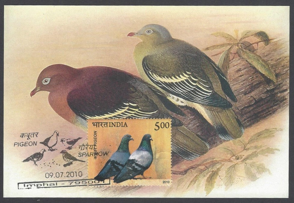 India 2008 Pigeon. The Cinnamon - Headed Green Pigeon Maxi card