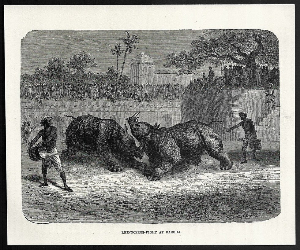 India RHINOCEROS-FIGHT AT BARODA engraved print ex libris Rousslet 1876 7"x6"