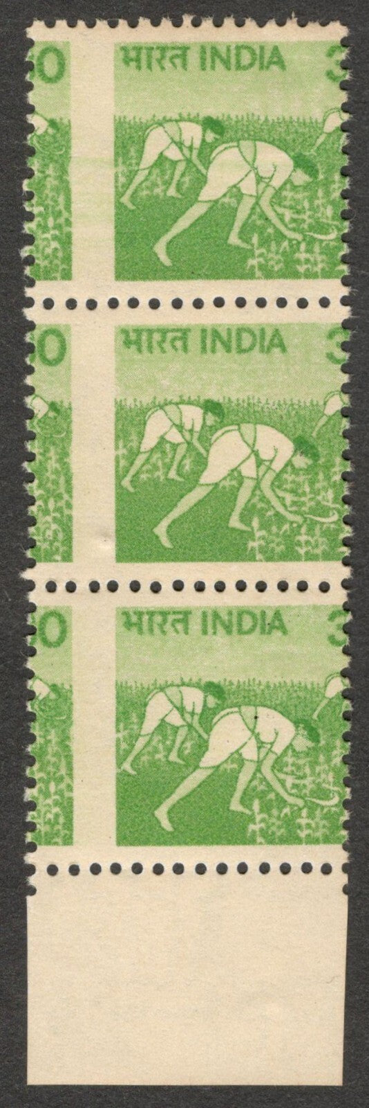 (AOP) India 1979 30p Agriculture RICE PICKING MISPERF error strip MNH