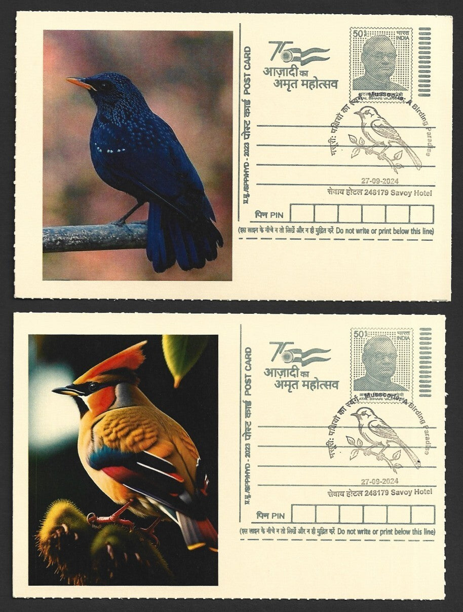 India 2024 Birding Paradise Savoy Hotel postmark cards MULTICOLORED BIRDS (8)