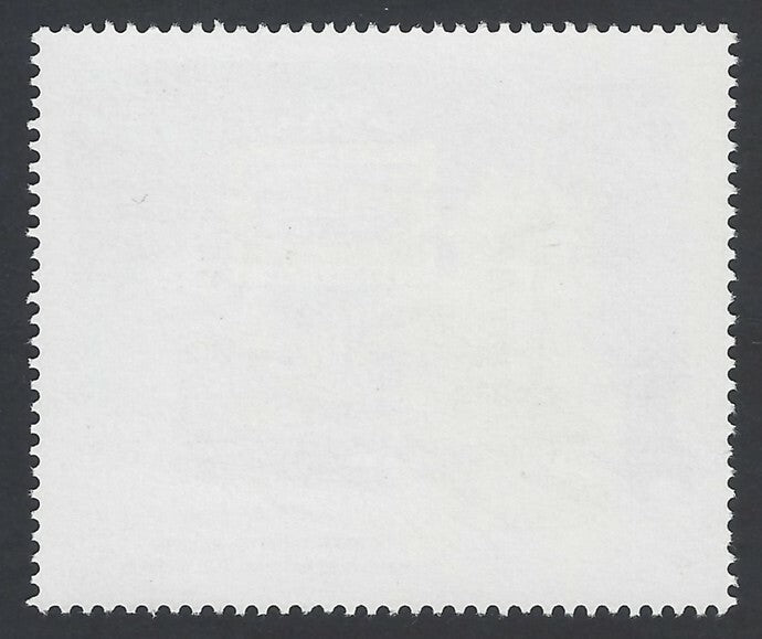 AOP India 1990 25th Anniv. Of Border Security Force MNH