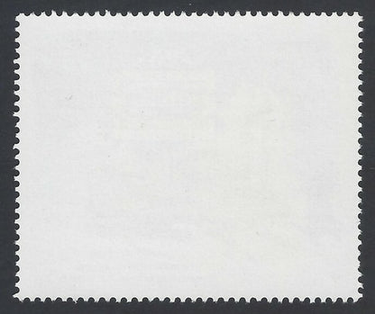 AOP India 1990 25th Anniv. Of Border Security Force MNH