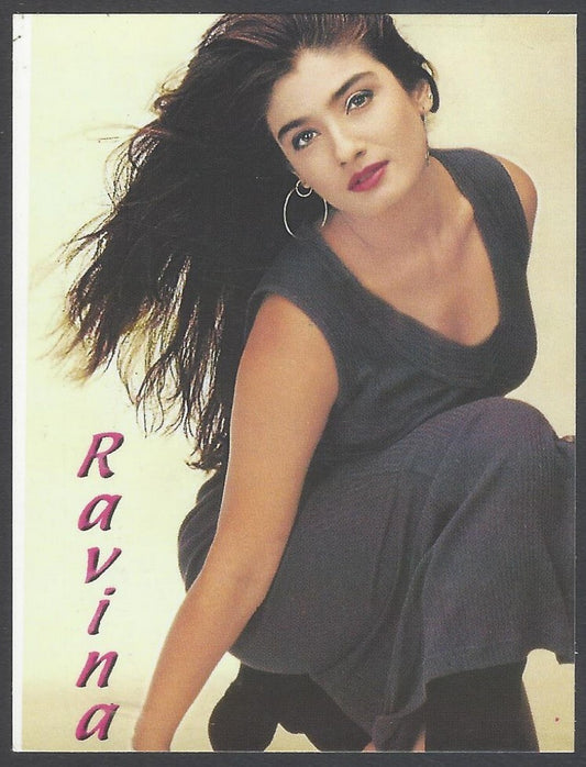 AOP India Bollywood 2002 Pocket Calendar - Raveena Tandon