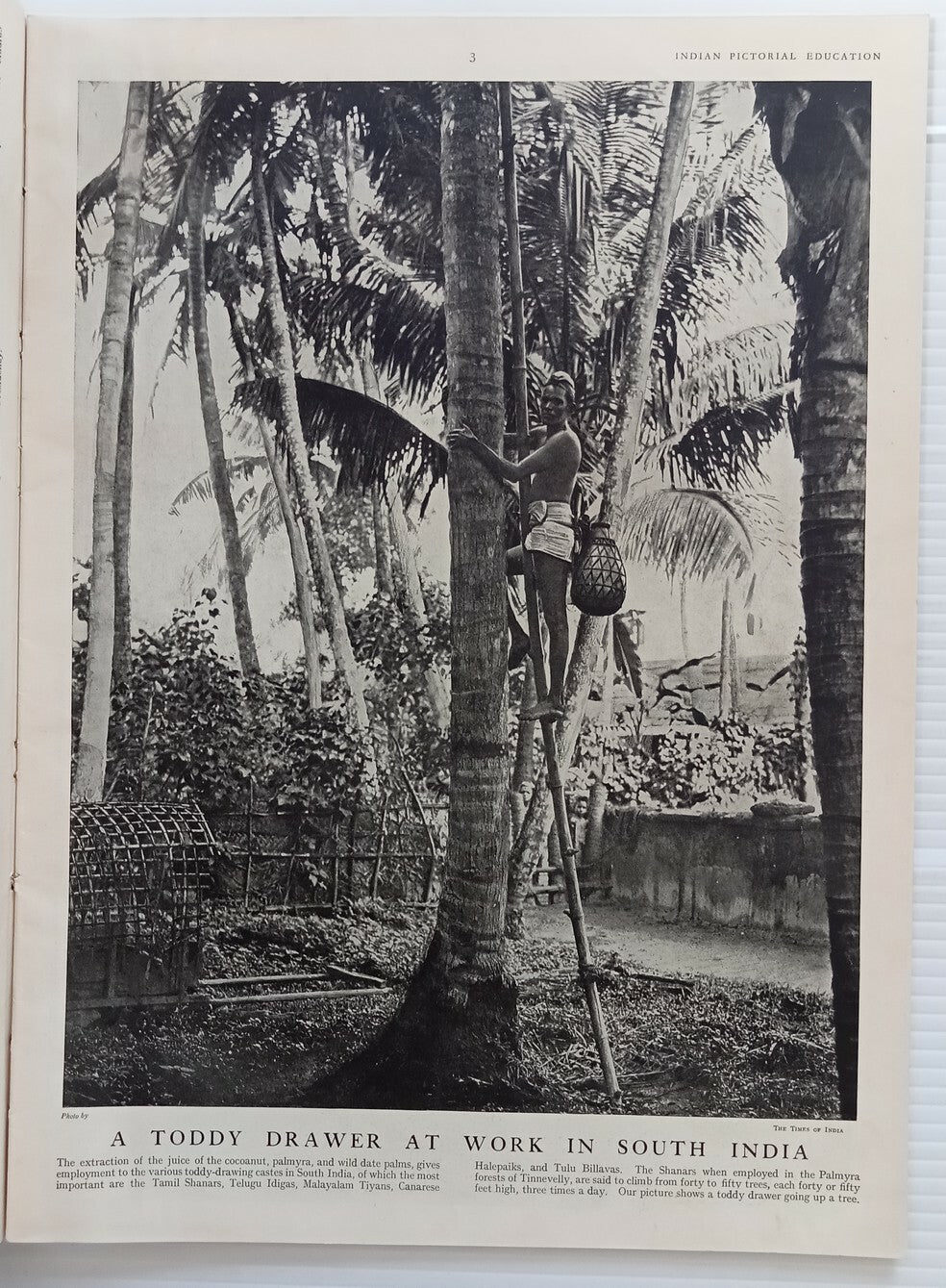 INDIAN PICTORAL EDUCATION 1929.30 Voll.1 No.2 Malabar Valan , Dasis, Chilum
