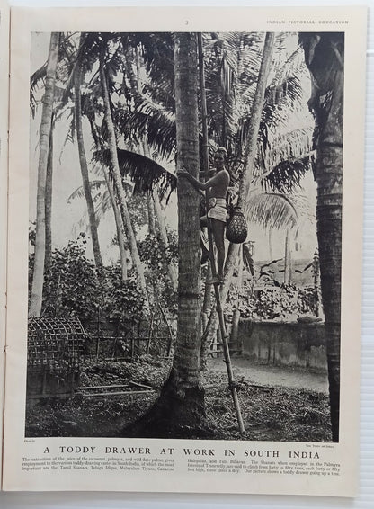 INDIAN PICTORAL EDUCATION 1929.30 Voll.1 No.2 Malabar Valan , Dasis, Chilum