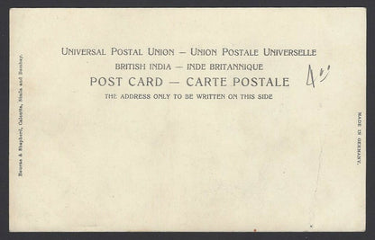 India vintage postcard HIMALAYAN BULLOCK CART.