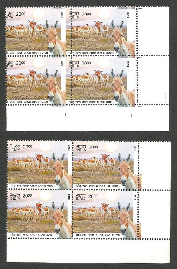 India 2013 Animals Ghor Khar Wild Ass misperf error block of 4 MNH