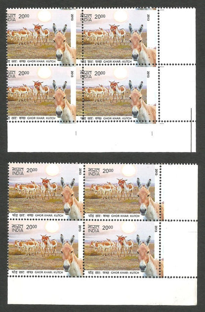India 2013 Animals Ghor Khar Wild Ass misperf error block of 4 MNH