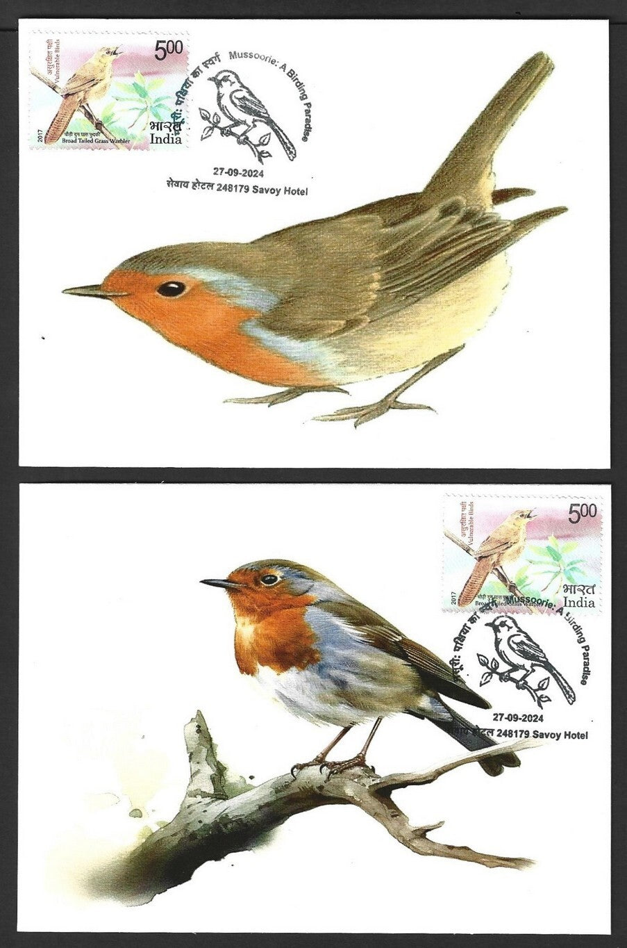 India 2024 BIRDS maximum cards (not first day) (8)