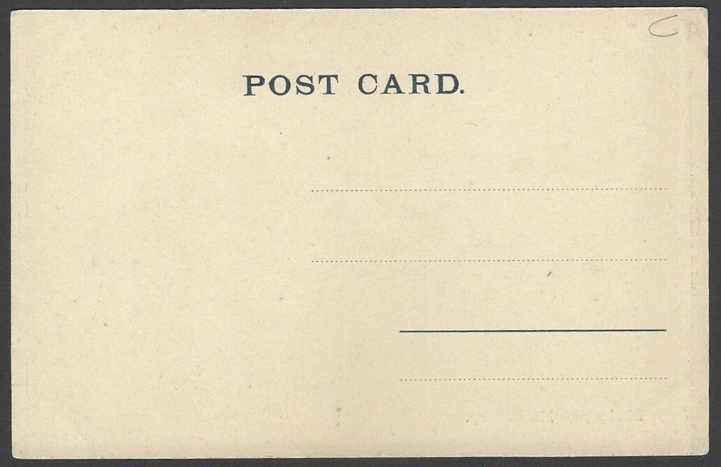 India vintage postcard Dhoby and his Donkey