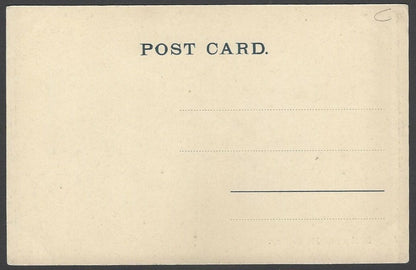 India vintage postcard Dhoby and his Donkey