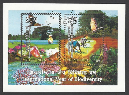 India 2010 Biodiversity Birds miniature sheet DOUBLE PERFS ERROR MNH