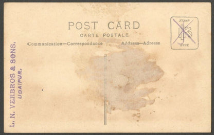 AOP India vintage rppc real photo postcard LAKE, UDAIPUR