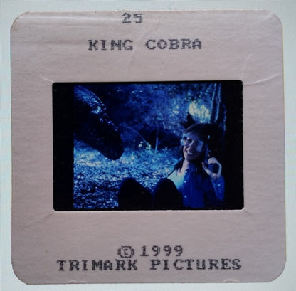 KING COBRA publicity material for India (15 slides, 9 photos, 2 negatives)