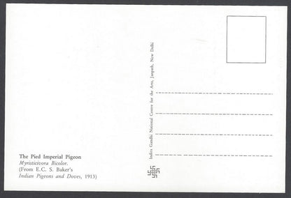 India 2008 Pigeon The Pied Imperial Pigeon Maxi card