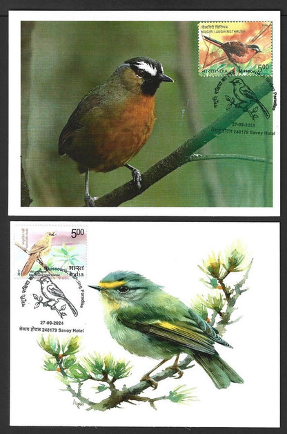 India 2024 BIRDS maximum cards (not first day) (8)