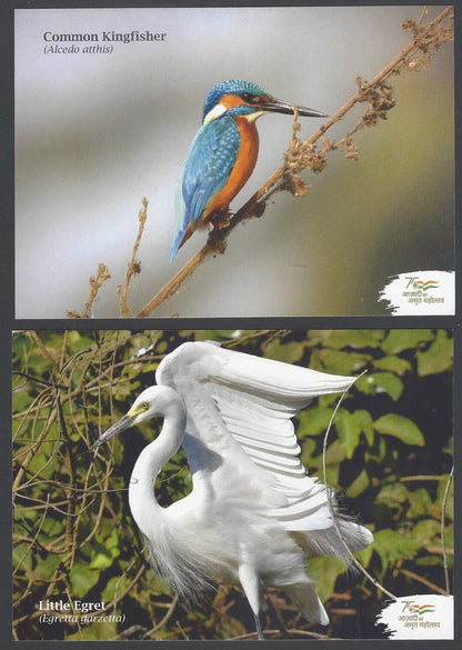 AOP India AVION DIVERSITY Postcard Pack with 10 postcards 2022