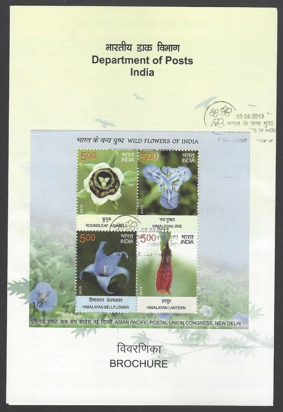 AOP India 2013 Wild Flowers set of 3 MS miniature sheets on 3 info brochures 