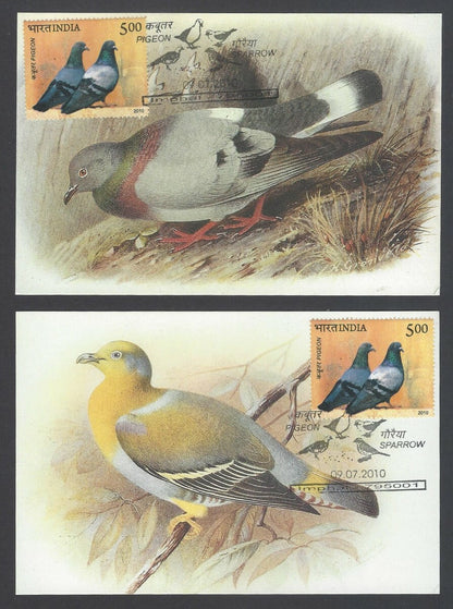 AOP India 2010 Pigeon maxi card set of 24