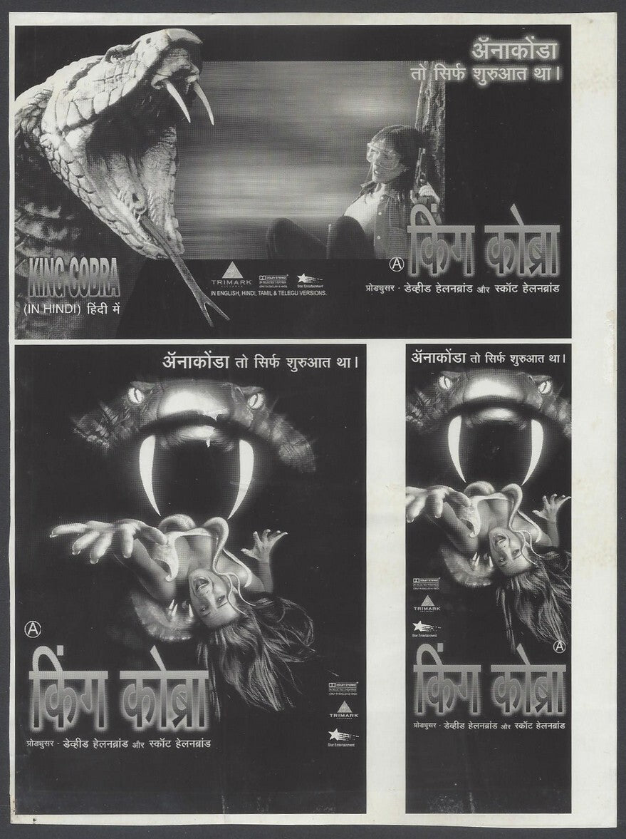 KING COBRA publicity material for India (15 slides, 9 photos, 2 negatives)