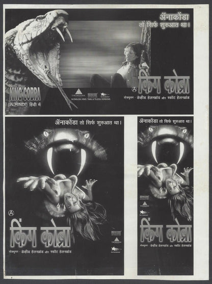KING COBRA publicity material for India (15 slides, 9 photos, 2 negatives)