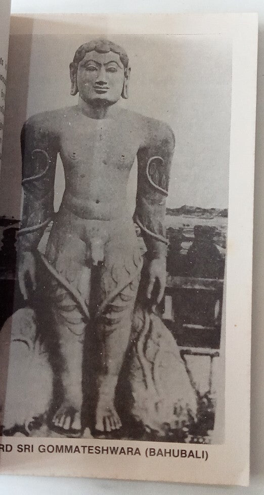 AOP India 1991 Belur Halebid Shravanabelagola Tourist Guide Booklet