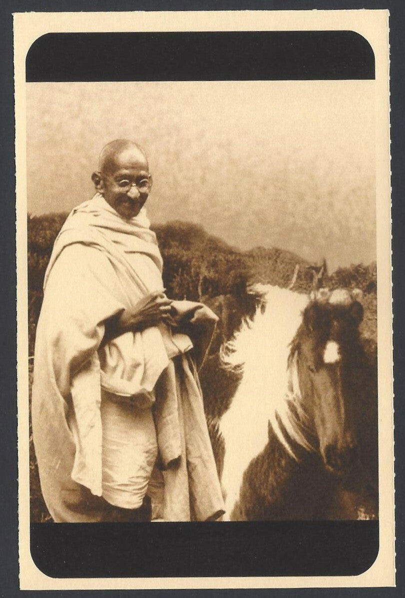 AOP India full back pictorial 50p Gandhi postal card GANDHI and a horse