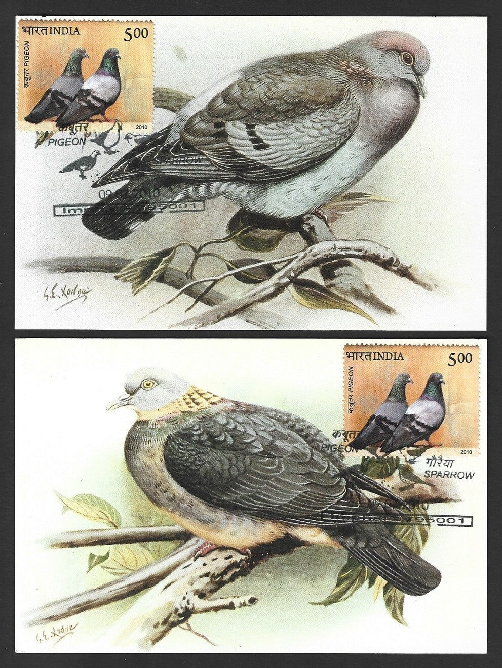 India 2010 Dove postcards (8)