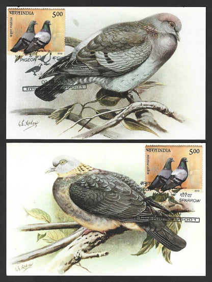 India 2010 Dove postcards (8)
