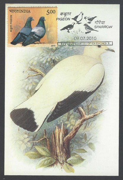 AOP India 2010 Pigeon maxi card set of 24