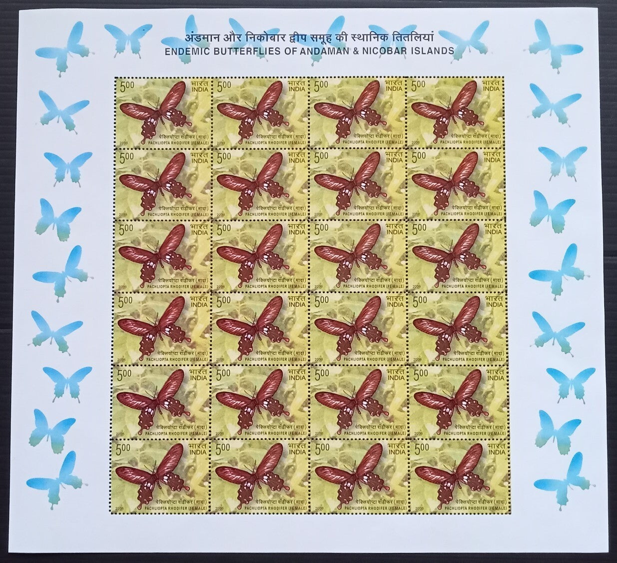 India 2008 Butterflies set of 5 sheetlets of 24 MNH