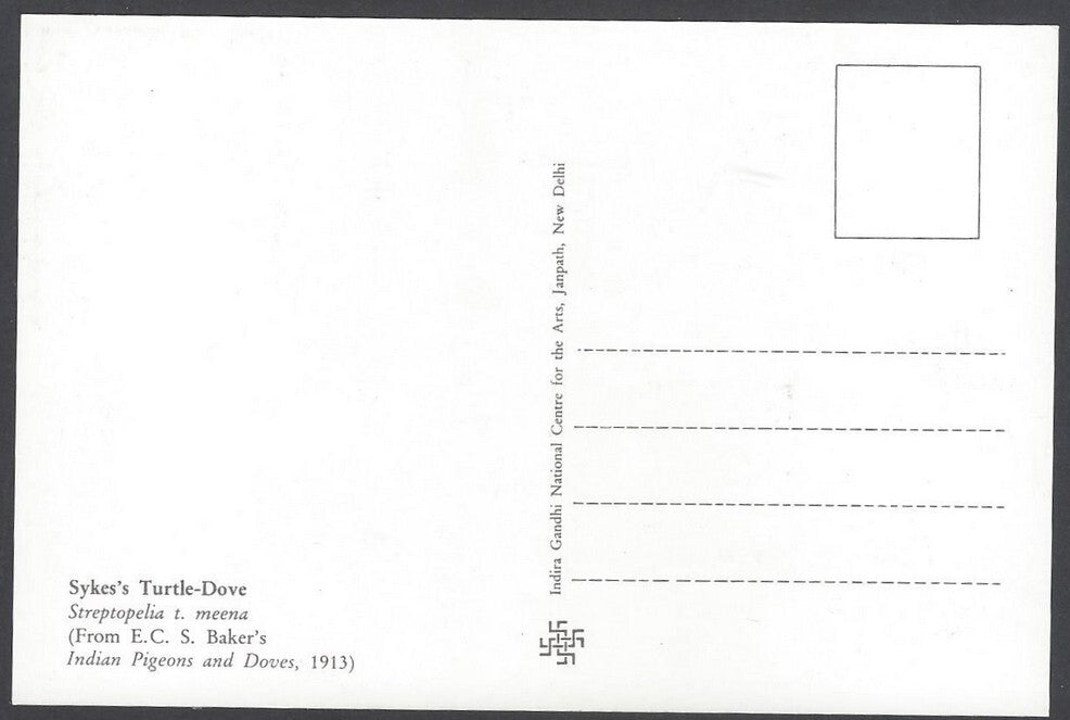 India 2008 Pigeon Sykes's Turtle - Dove Maxi card